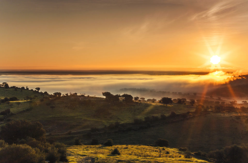 Monsaraz Alentejo