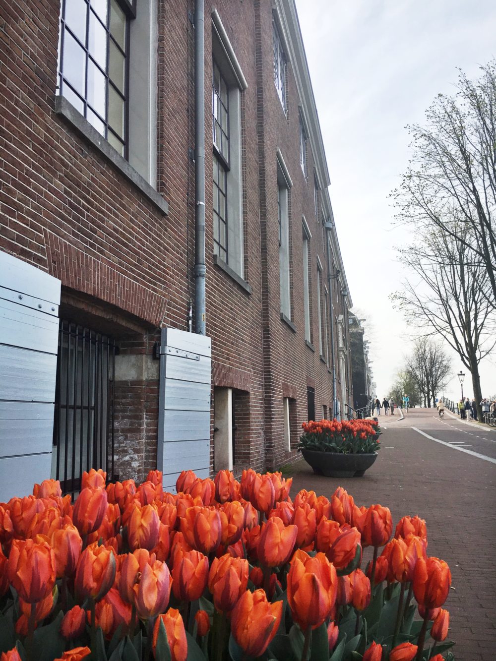 Hermitage Tulp Festival 2018