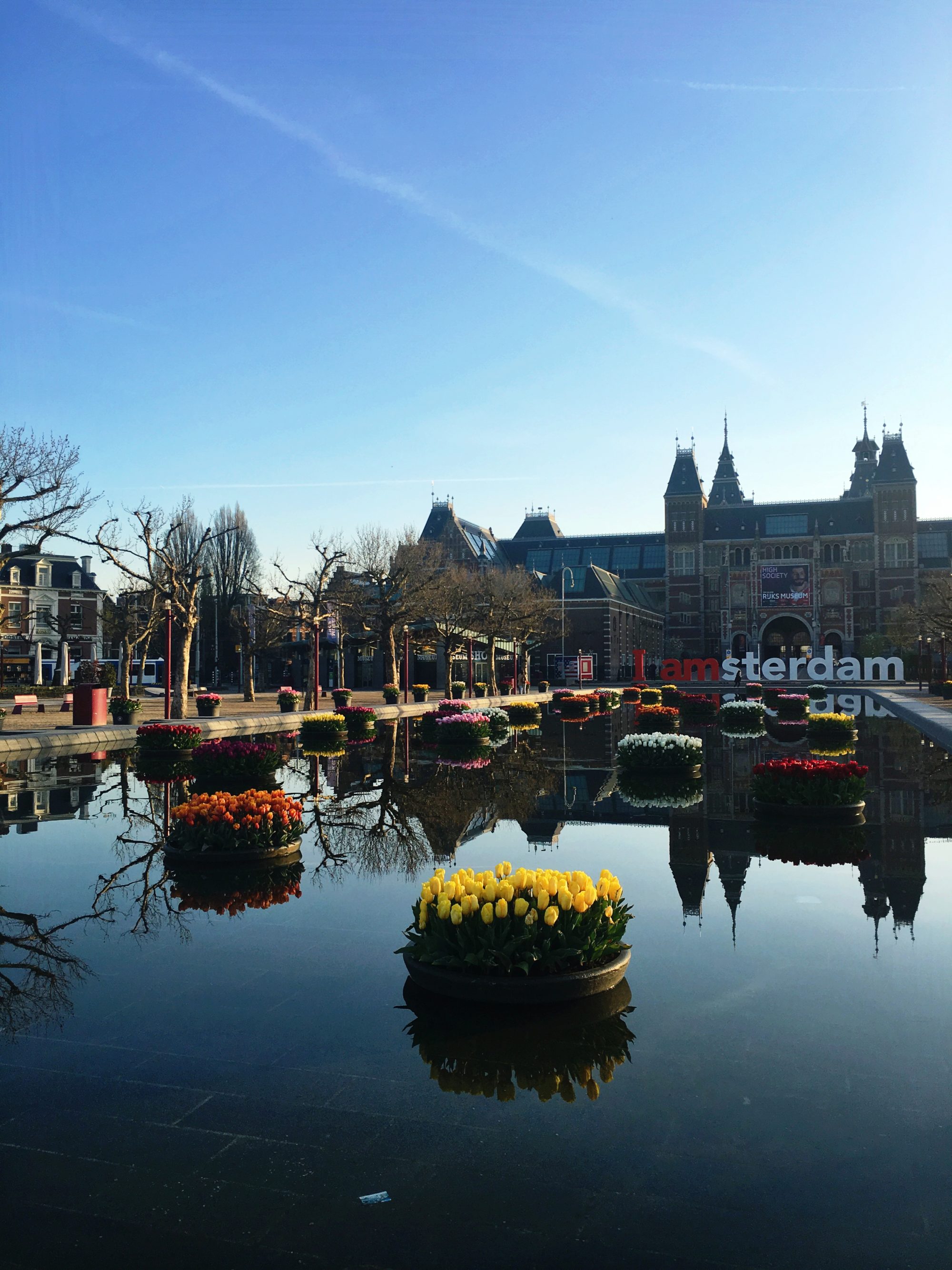 Voor iedere Amsterdammer een tulp: Tulp Festival 2018