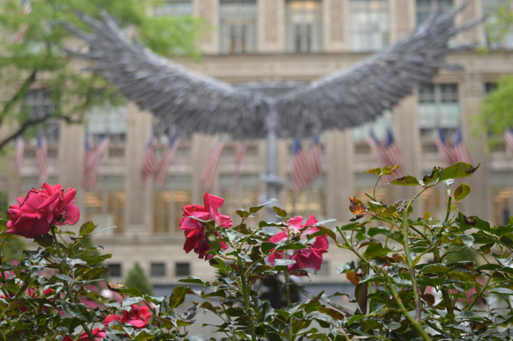 New York