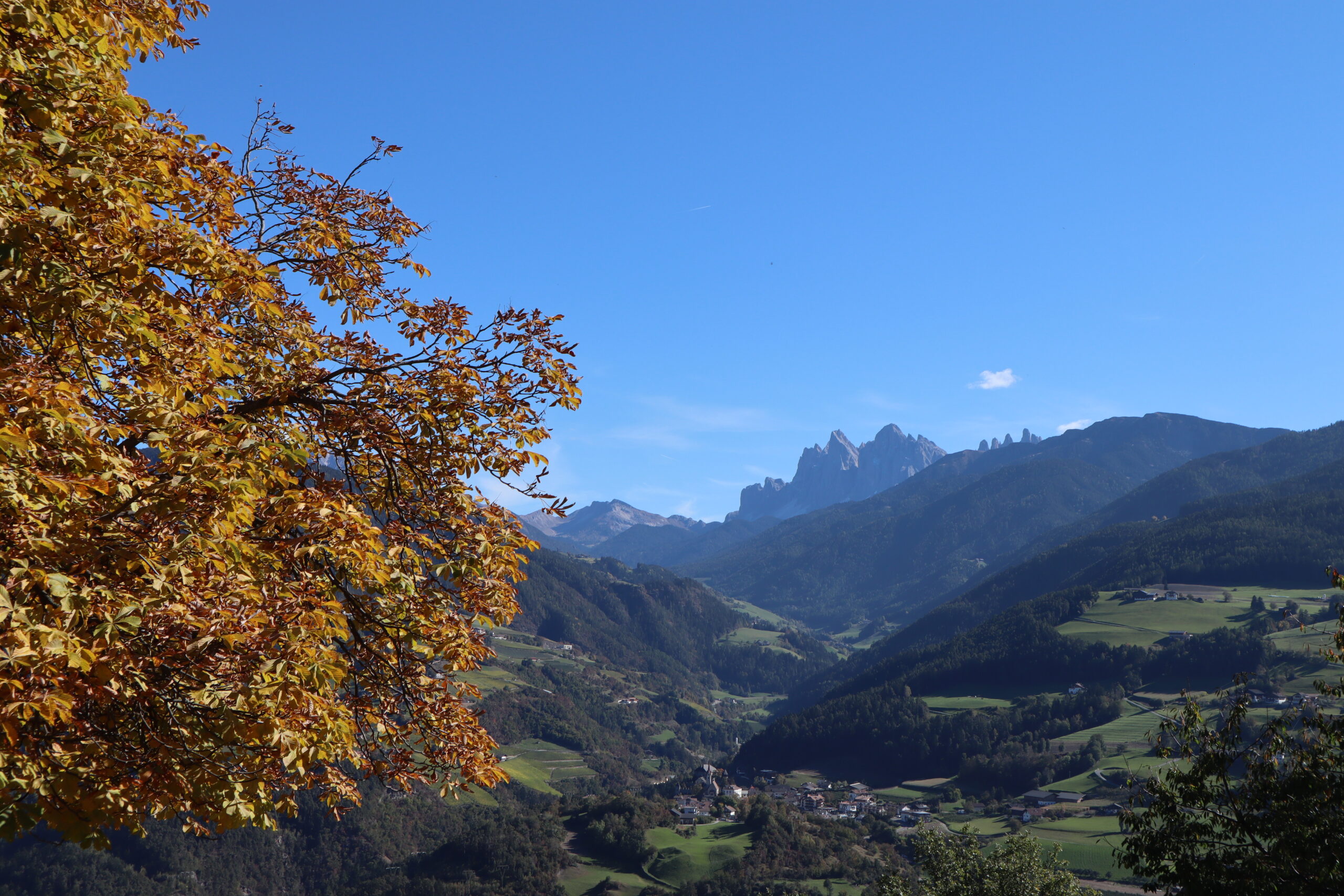 Herfst in Zuid-Tirol, Italië